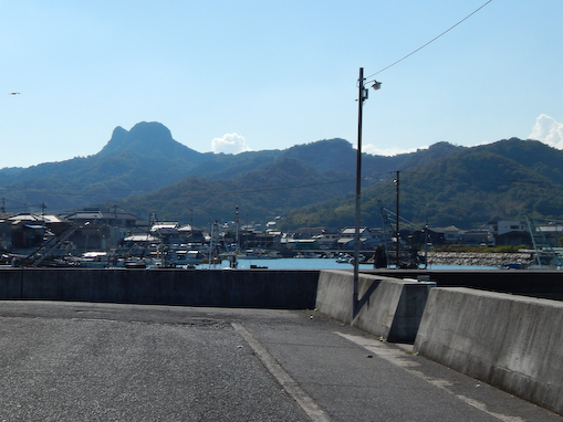 nagasakinohana-5.jpg