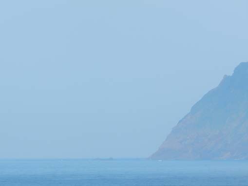 nakonohana-1.jpg