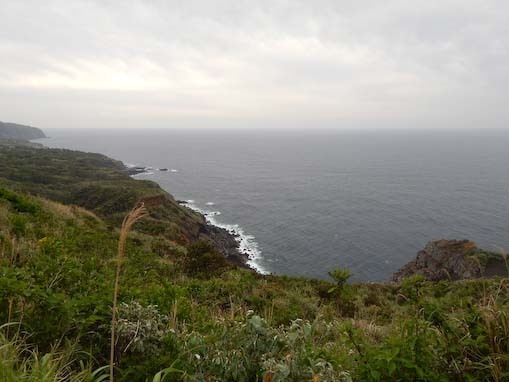 nakonohana-10.jpg
