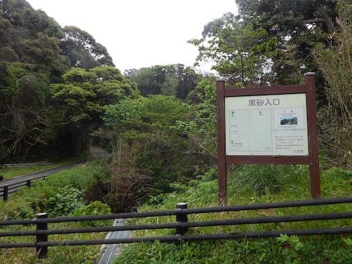 nakonohana-21.jpg