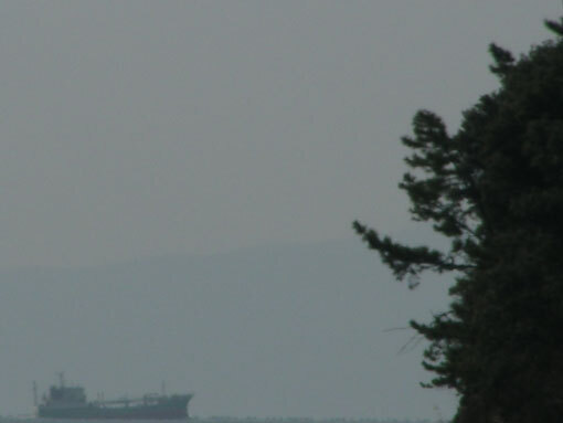 namiharizaki08.jpg