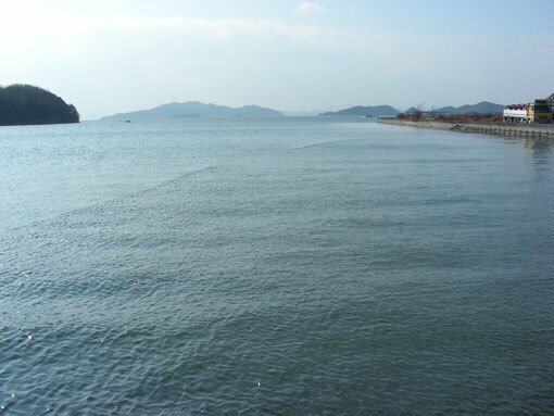 namiharizaki10.jpg