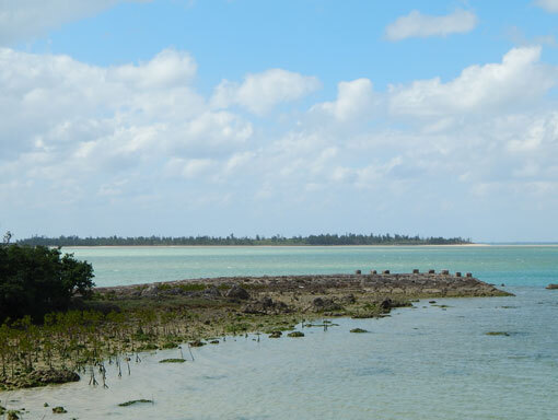 nishipamaz08.jpg