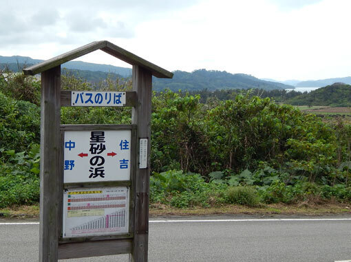nishizaki08.jpg