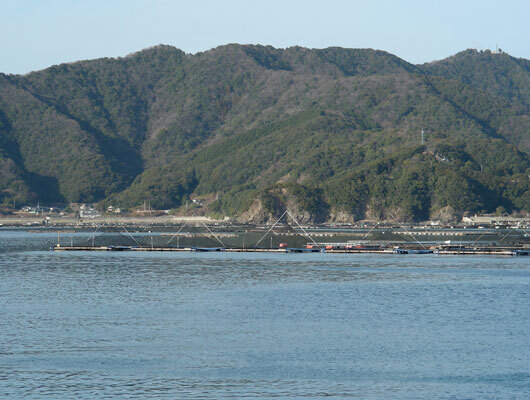nomizaki03.jpg