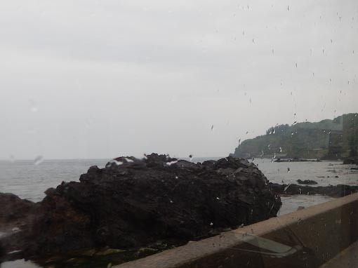 nozakihana-3.jpg