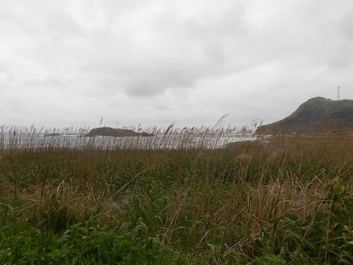 ofunagamisaki-9.jpg