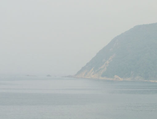 ohosakihana01.jpg