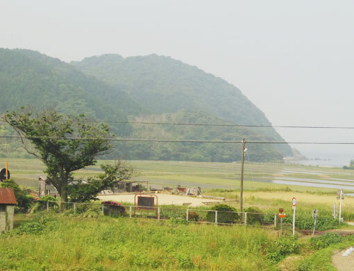 ohosakihana05.jpg
