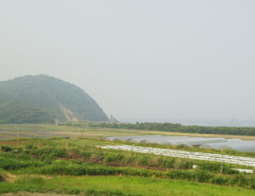 ohosakihana09.jpg