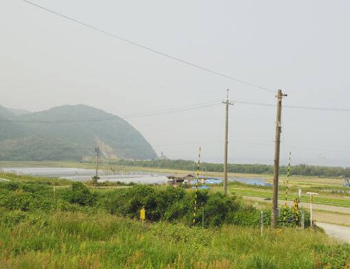 ohosakihana10.jpg