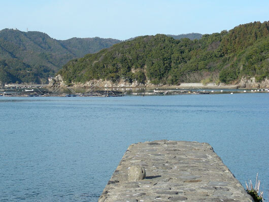 onsgamisaki01.jpg