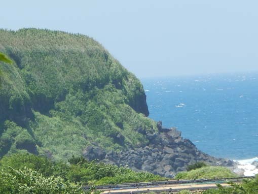 osaki-13.jpg