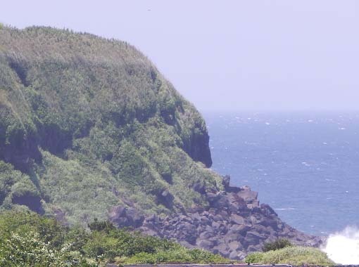 osaki-14.jpg