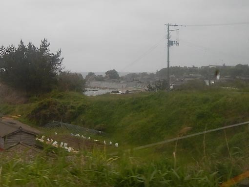 osaki-3.jpg