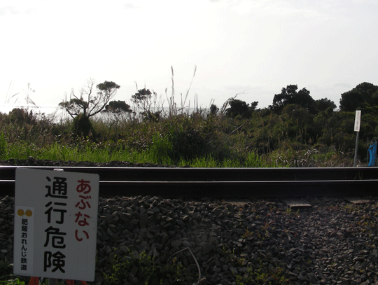 osaki03.gif