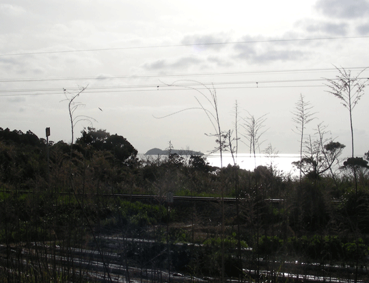 osaki04.gif