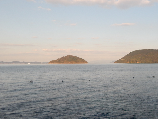 osakinohana-11.jpg