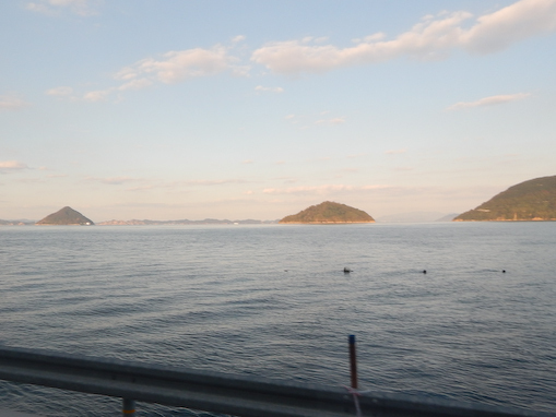osakinohana-12.jpg