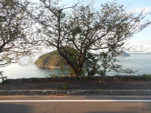 osakinohana-7.jpg