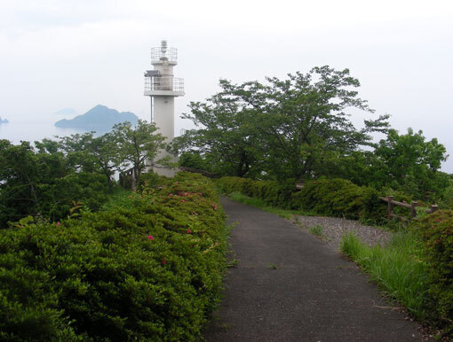 oshimawashihana01.jpg
