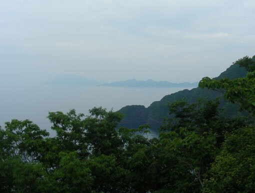 oshimawashihana03.jpg