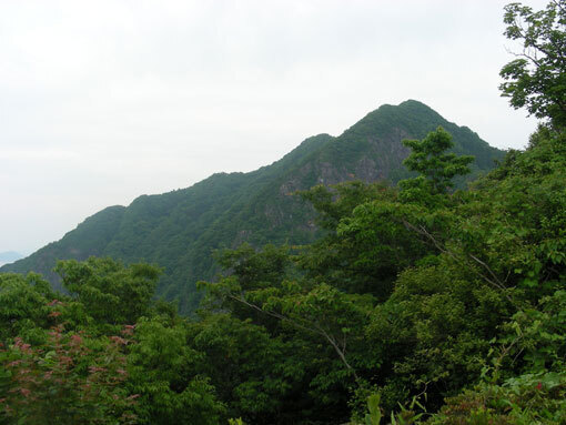 oshimawashihana04.jpg