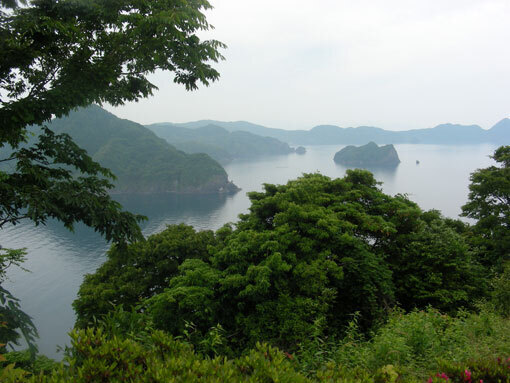 oshimawashihana05.jpg