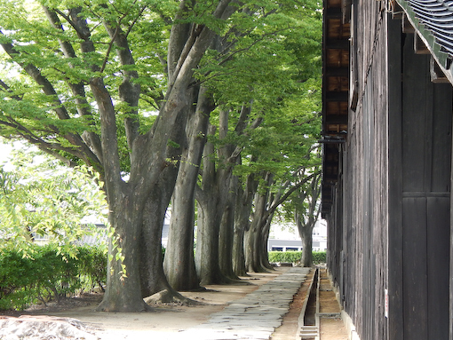 sankyosoko-7.jpg