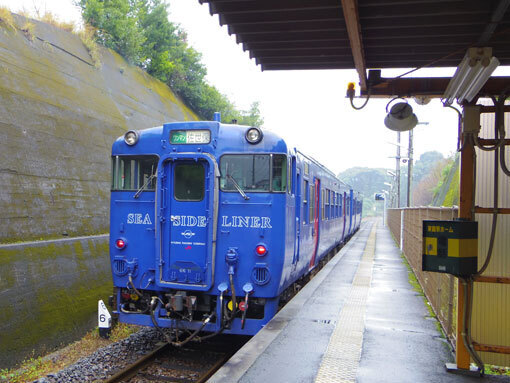 shiraiwahana05.jpg