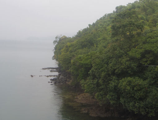 shiraiwahana08.jpg