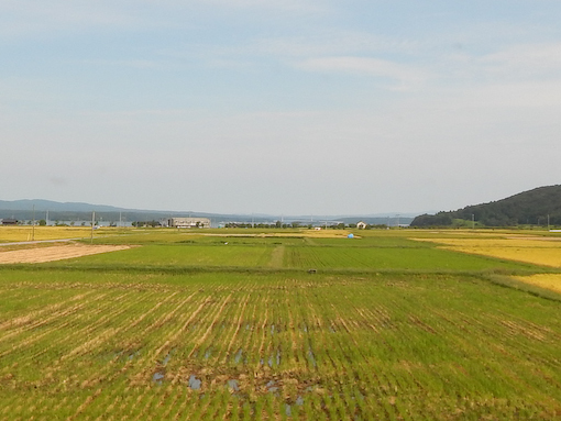 shirasaki-6.jpg