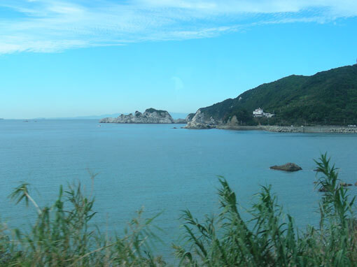 shirasaki03.jpg