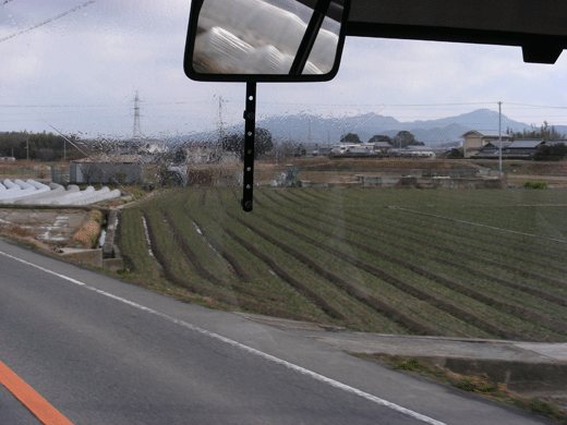 sioaki08.gif