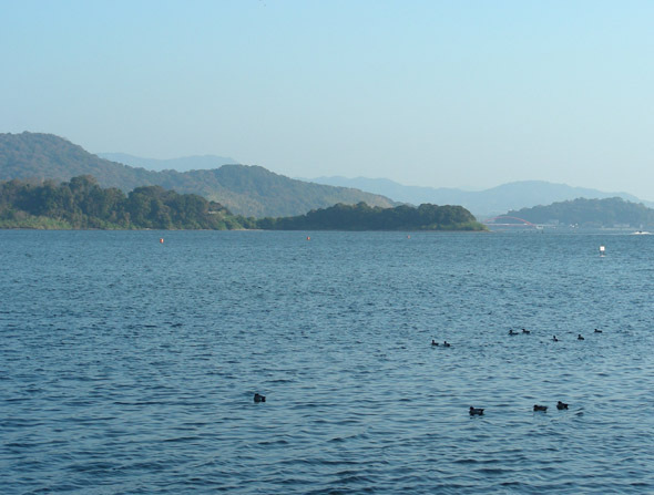 sunahana01.jpg