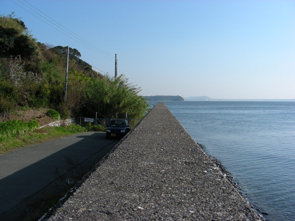 syotaijihana03.jpg