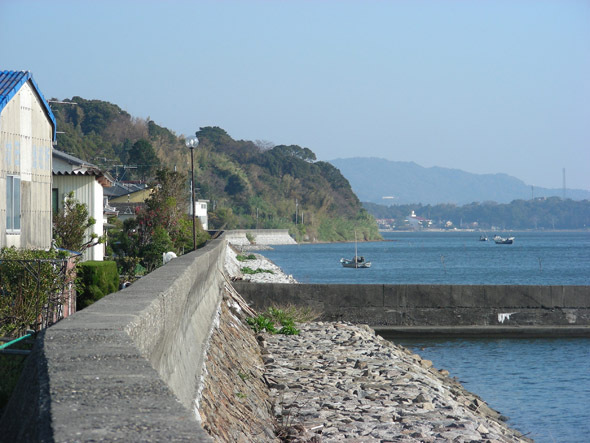 syotaijihana04.jpg