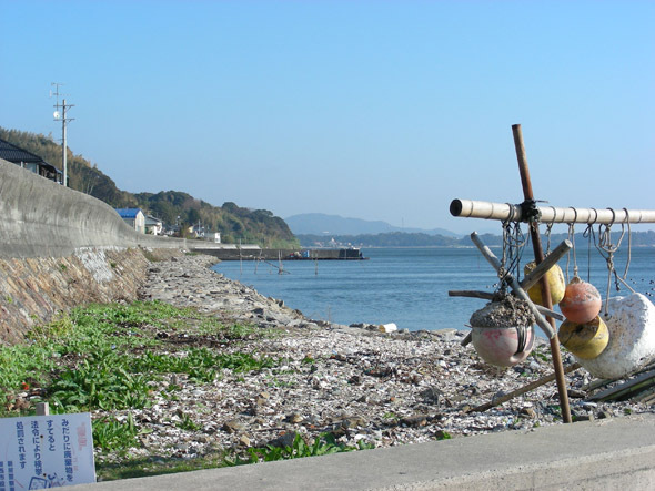syotaijihana05.jpg