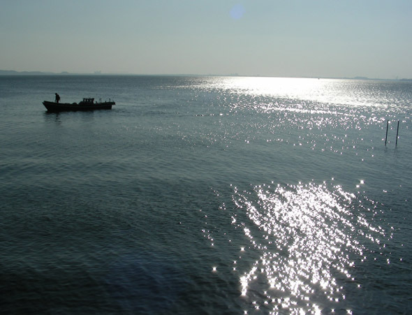 syotaijihana09.jpg