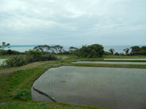 tagirizuhana-8.jpg