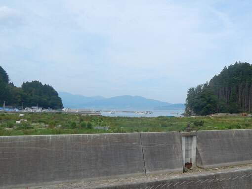 takaenohana01.jpg