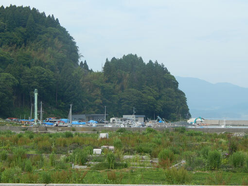 takaenohana05.jpg