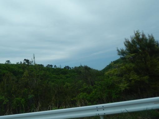 tasaki-1.jpg