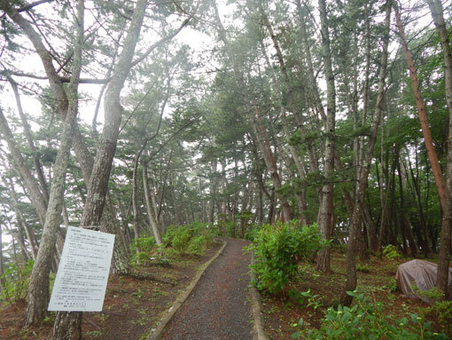 tatsumaizaki04.jpg