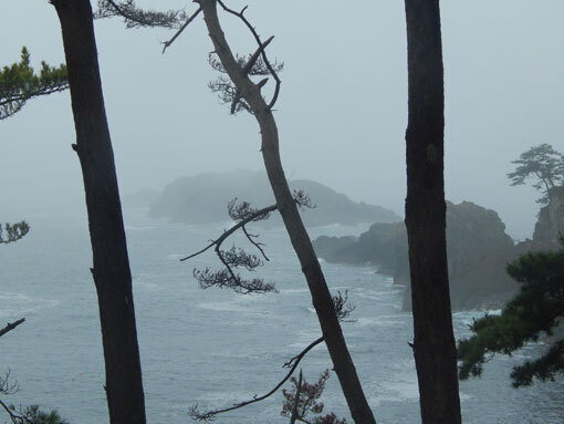tatsumaizaki06.jpg