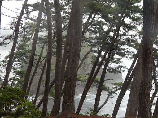 tatsumaizaki09.jpg