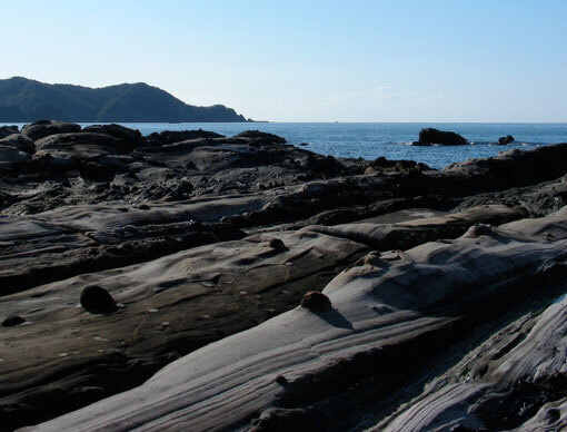 tatukusi05.jpg