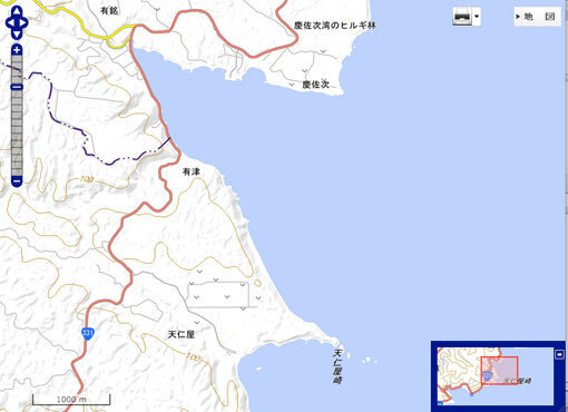 teniyazakiM.jpg
