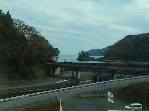 tomanohana-1.jpg