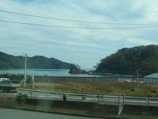 tomanohana-3.jpg